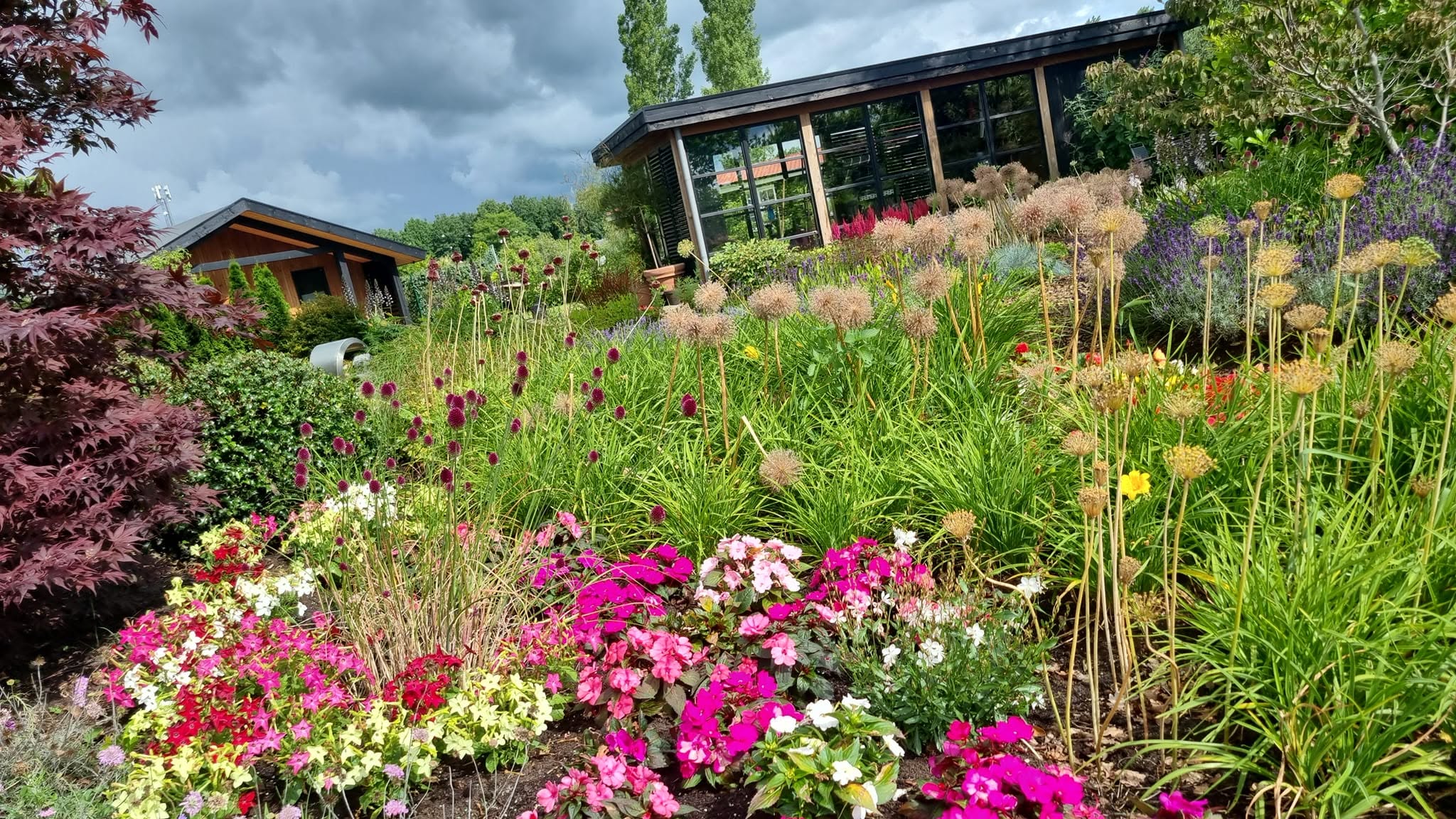 Kleurrijke border met sierui, impatiens en een rode esdoorn, met daarachter een glazen tuinpaviljoen