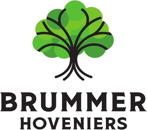 Brummer Hoveniers
